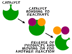 Catalyst: How to Push Your Outfit to the Next Level