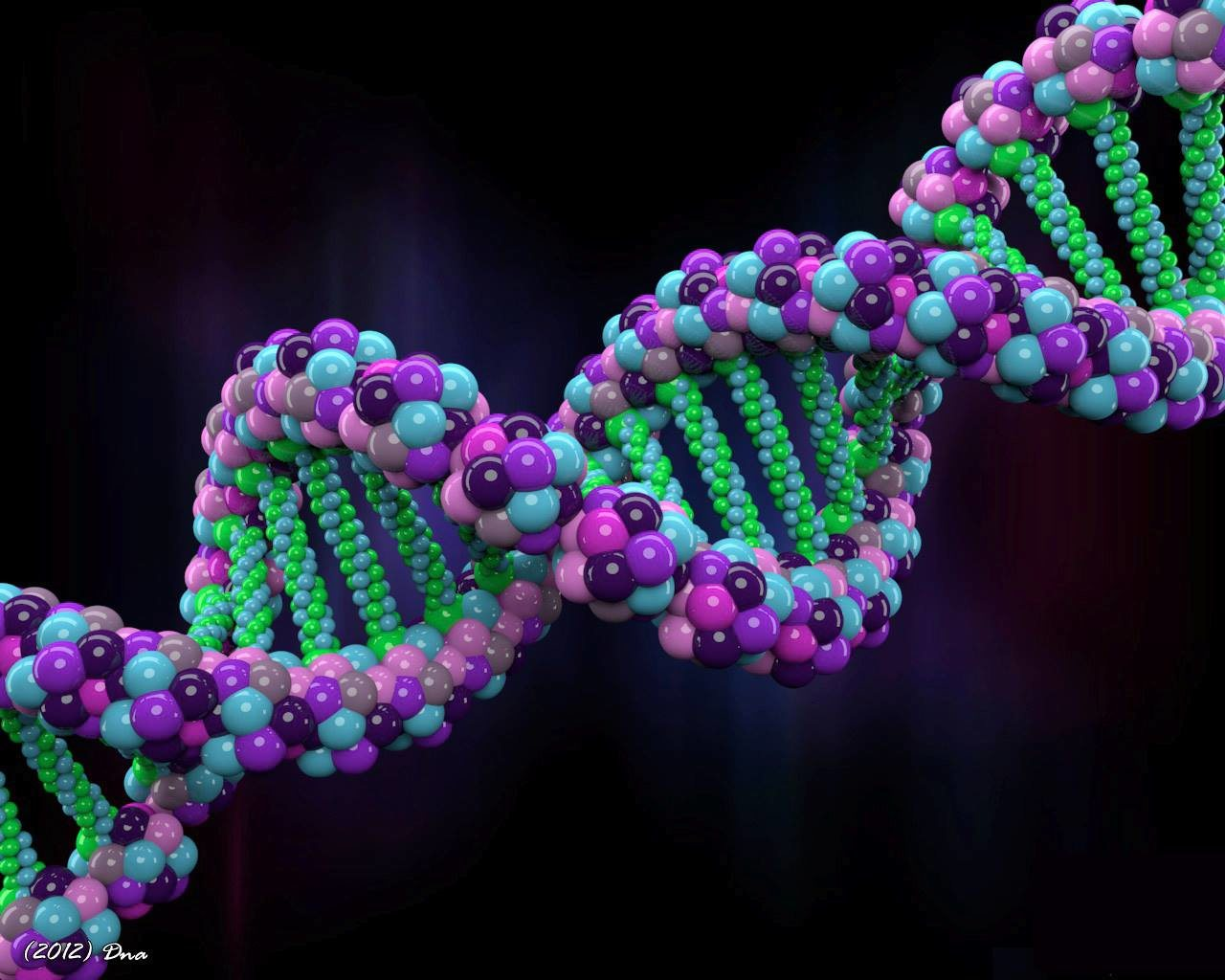 Genetic Makeup:  Make the Best of What’s Given to You